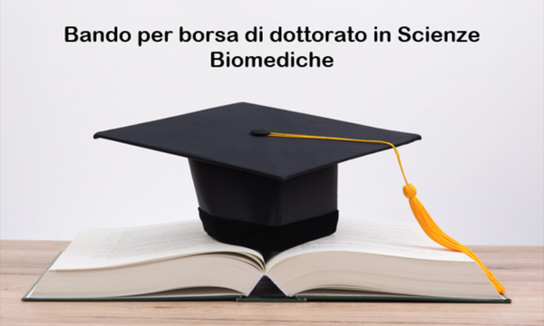 BANDO BORSA DI DOTTORATO IN SCIENZE BIOMEDICHE.